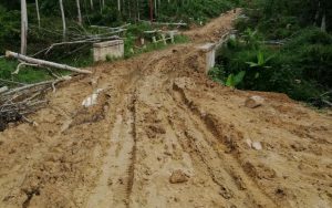 Jalan Dusun Bedari Aceh Timur Rusak Parah, Warga Harus Seberang Sungai